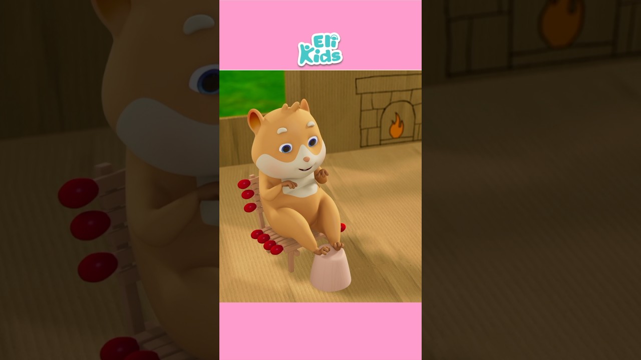Build A Hamster House!