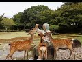 24 hours in Nara Japan 🦌