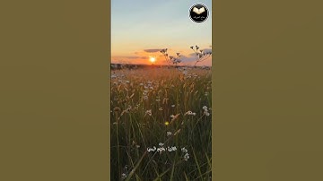 سورة الحج آية [46] بصوت القارئ :وديع اليمني #قرآن_الكريم #سورة_الحج #وديع_اليمني