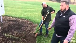 Lawn & Landscape tips - bed edging