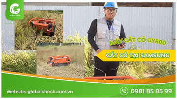 Máy cắt cỏ tự động GY800 tại Công Ty Samsung