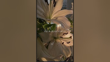 {رَّبَّنَآ إِنَّنا سَمِعنا مُنادِيٗا يُنادِي لِلۡإِيمَٰن } #قرآن #سعود_الشريم #تلاوة_خاشعة #الجمعة