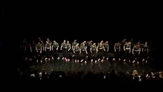 Greek Variety Show 2018 -- Alpha Epsilon Phi