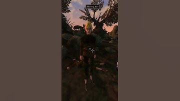 Killing the adoring fan in Morrowind every day until Skywind and Skyblivion are released Day - 532