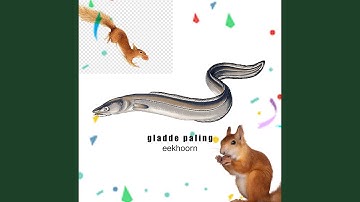 eekhoorn