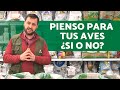 Alimentación con PIENSO para PAJAROS (Ventajas / Inconvenientes)