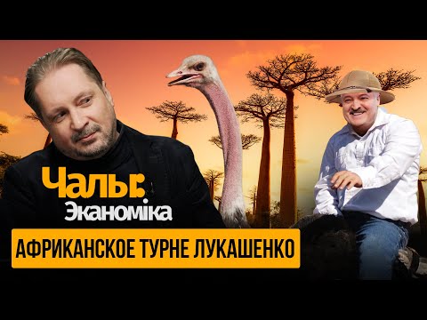 «Мы не колонизаторы, мы сами колония» | Чалый:Экономика