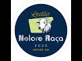 LEILÃO NELORE RAÇA