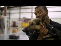 SOC Canine Jobs SOC Canine Jobs
