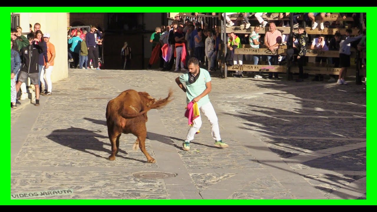 Alfredo Iniguez ÁGREDA ( SORIA ) MATINAL VACAS EN CALLE ( SÁBADO 30 SEPTIEMBRE 2023 ...