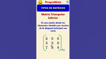 ⚡ Tipos de Matrices - Parte 2 #shorts