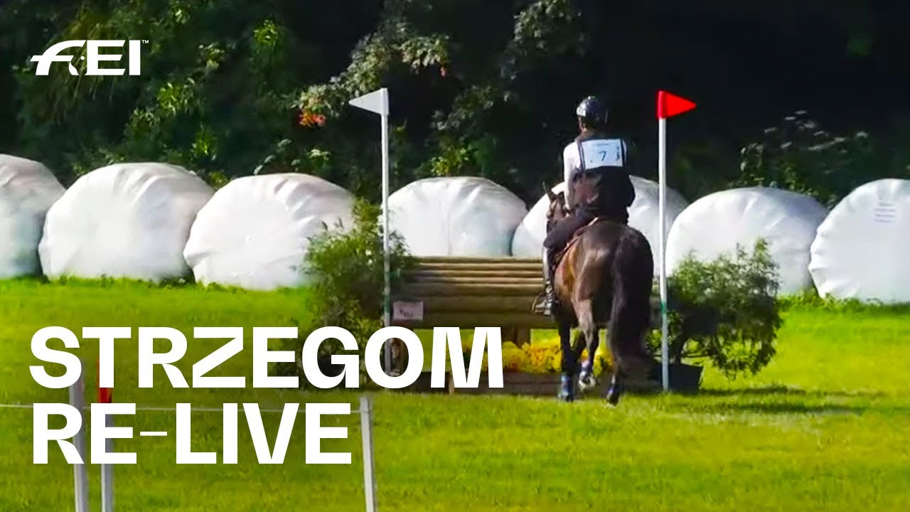 Re Live Eventing Cross Country Pony Ccip2 L Strzegom Summer Tour Youtube