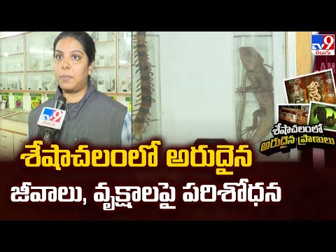 Story Gate : శేషాచలంలో అరుదైన జీవాలు, వృక్షాలపై పరిశోధన | Seshachalam Forest - TV9 - TV9