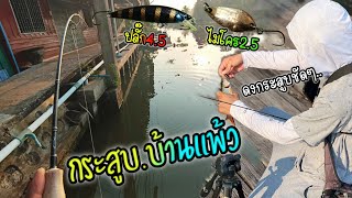 ลุยหมายคลองบ้านแพ้วตามหาปลากระสูบตัวแรกในชิวิต กัดดีเพราะเหยื่อฟรี🤣