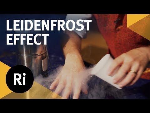 Liquid Nitrogen and the Leidenfrost Effect