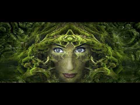 Елена Асеева 'Тишина'