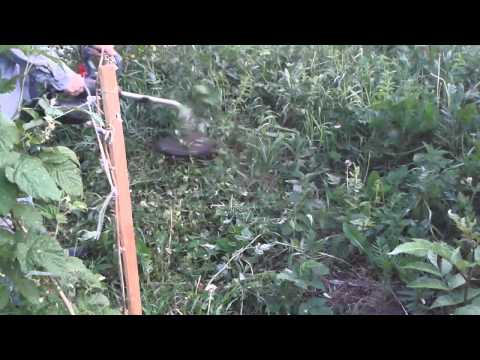 Триммер Skil 0731 RA