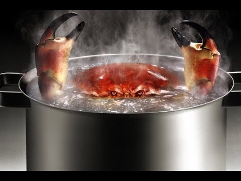 Аллен Карр — Легкий способ сбросить вес/Часть 5