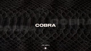 Alex Menco - Cobra / Car Music, Emotional Deep House, Dance