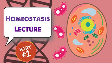 MCAT Biology Lecture: Homeostasis (1/1)