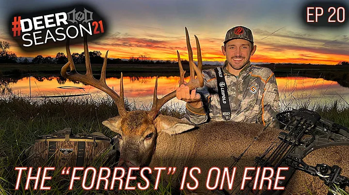 Forrest's Missouri Stud, Lucille Strikes Again | D...