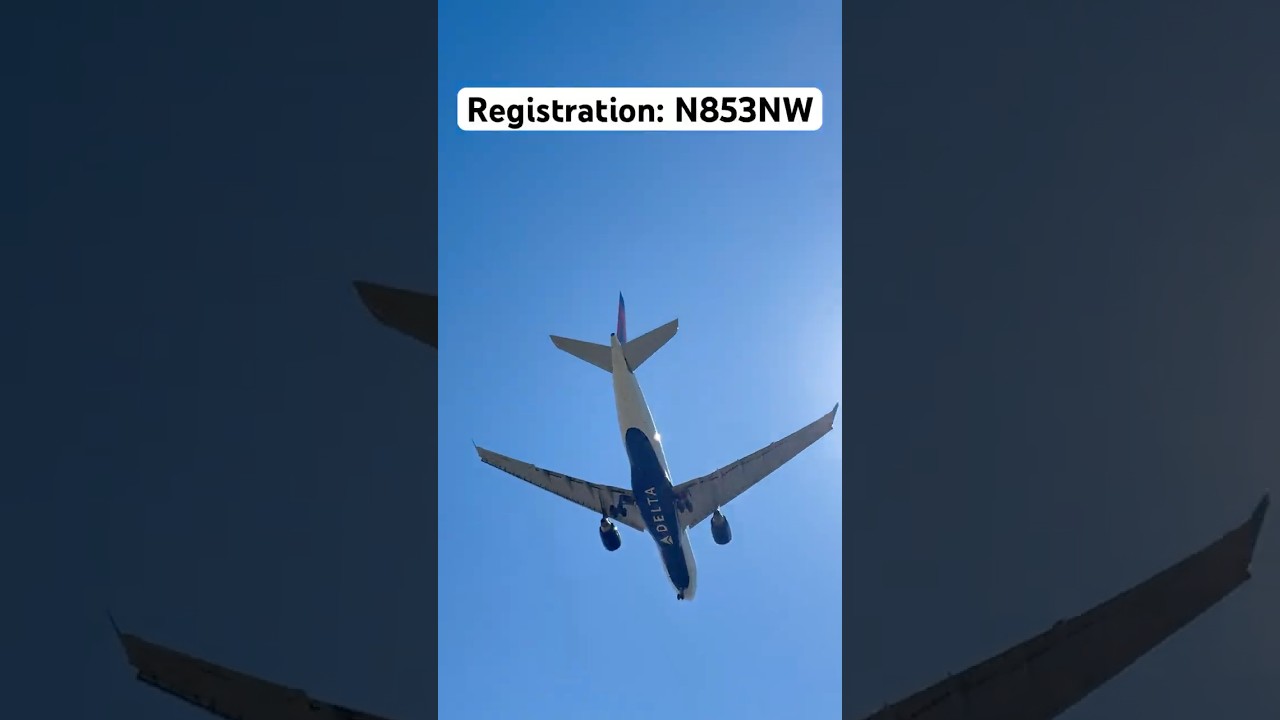 Delta Airlines Airbus A330-223 landing at John F. Kennedy Airport 