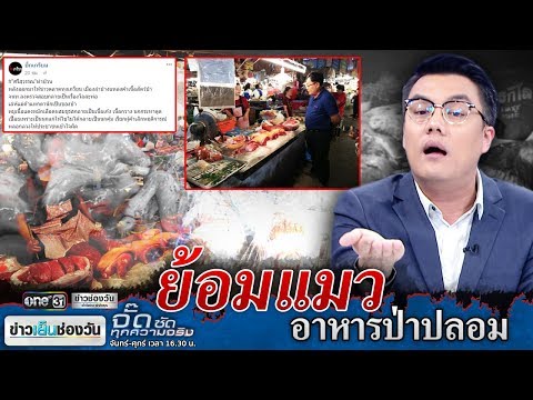 จั๊ด ซัดทุกความจริง | ย้อมแมว อาหารป่าปลอม | ข่าวช่องวัน | one31