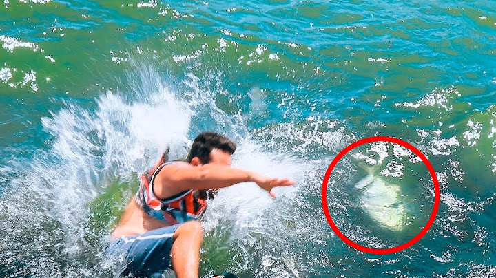 PIOR ACONTECEU NA PESCARIA - Peixe grande me levou pra água