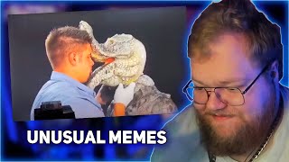 РЕАКЦИЯ T2x2: UNUSUAL MEMES COMPILATION V246