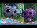 Bartleby the Cat and The KittyNati Compilation | True and the Rainbow Kingdom Episode Clip