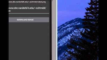 Programming Assignment #3 (Programming Mobile Services for Android Handheld Systems: Concurrency)