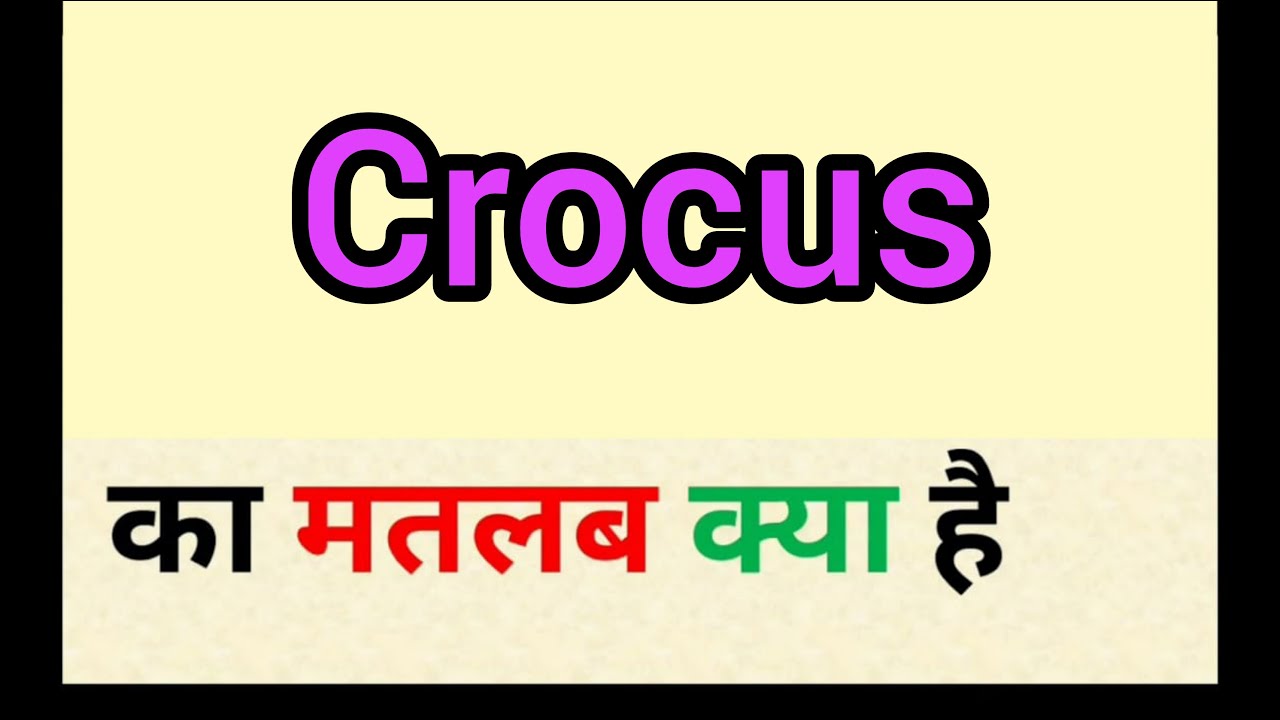 Crocus meaning in hindi crocus ka matlab kya hota hai word