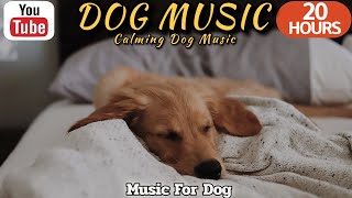 20 HOURS of Dog Calming MusicPeaceful sleepingAnti Separation Anxiety Relief Music⭐Healingmate