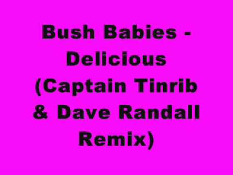 Bush Babies - Delicious (Captain Tinrib & Dave Ran...