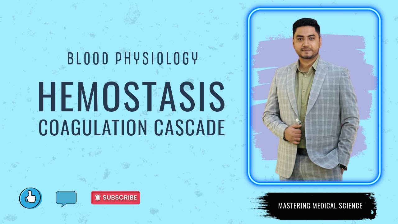 Hemostasis | coagulation cascade | Blood physiology | বাংলা