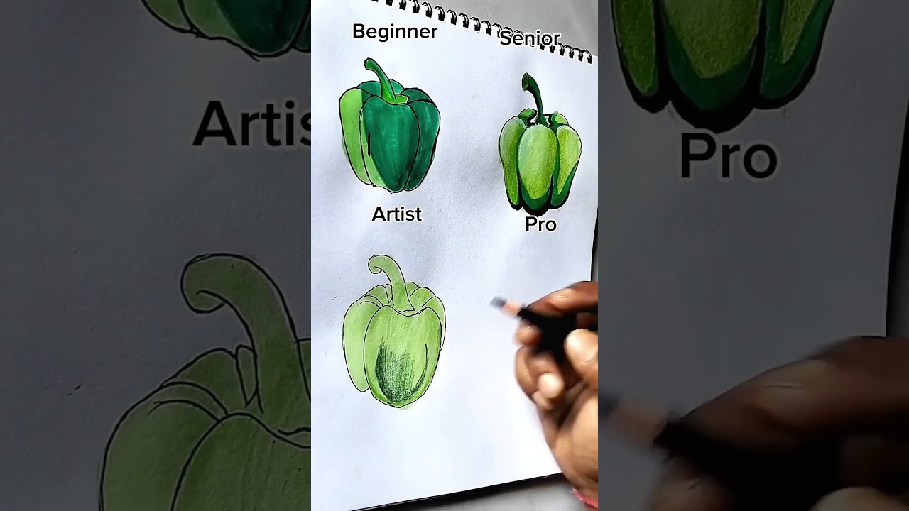 Capsicum | Bell Peppers Drawing 