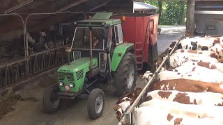 Franken Volmerink melkvee voeren