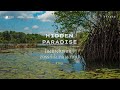 Hidden Paradise Promo EP 1 - โกงกางโบราณ : สวรรค์เร้นกลางลากูน