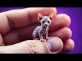Secret Cat Surprise! Will Family Find Out About the Poor Hidden Kitty?Pet Stories By Meow-some! Live