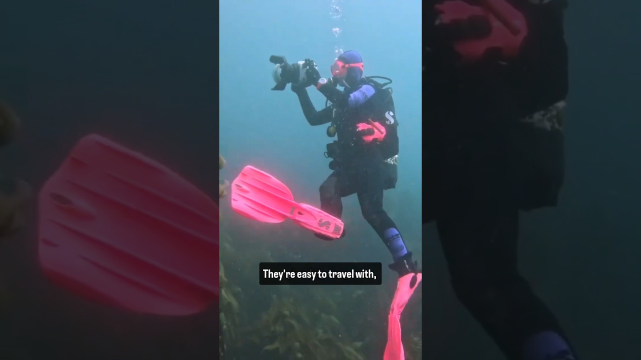 Лучшие ласты для подводного плавания @SCUBAPRO