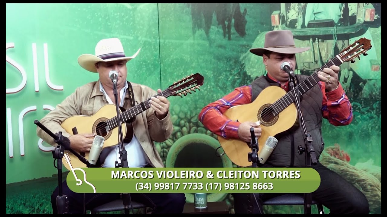 Marcos Violeiro & Cleiton Torres - Pássaro Sem Ninho: listen with