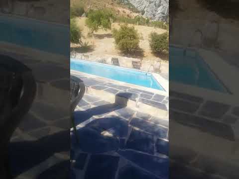 Graban a una veintena de cabras bebiendo en la piscina de un hotel