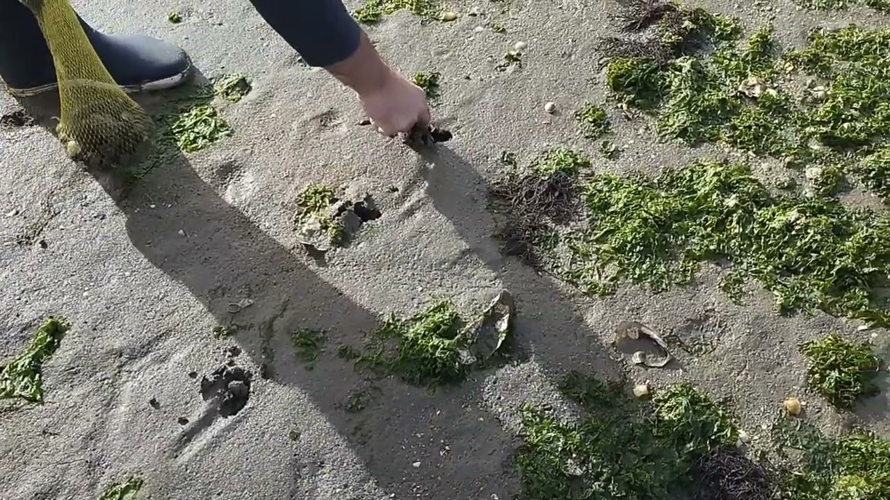 Depois das tempestades, uma voltinha pela maré!