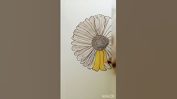 flower Zentangle #shorts #zentangle #blackandwhite #lines #art #patterns #yellow #floral