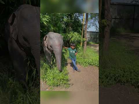 Shiridi Sai heritage