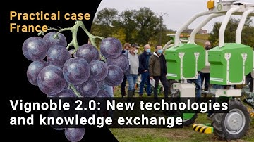 "Vignoble 2.0": Transforming Viticulture Through New Technologies and Knowledge Exchange