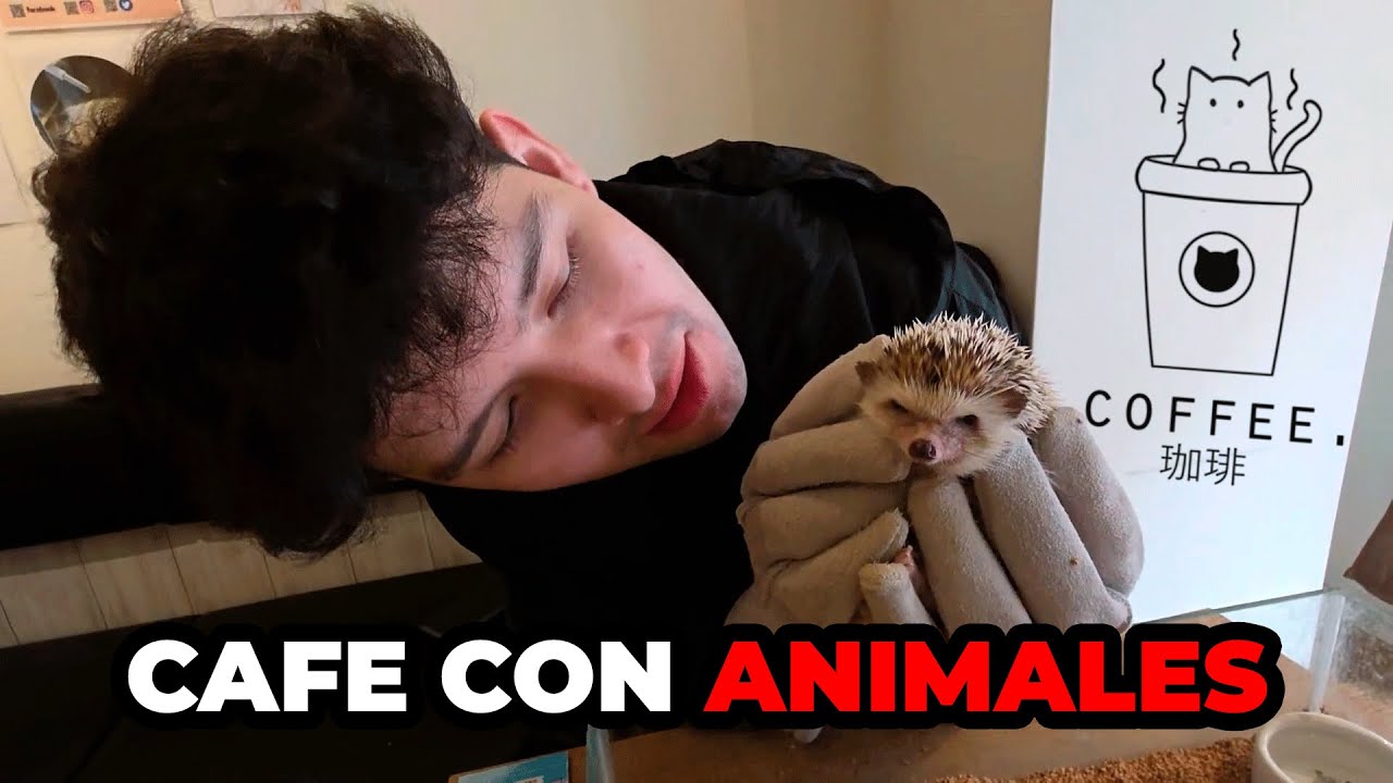 SOYPAN Y NANAMI VAN A UN CAFE DE ANIMALES