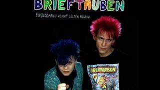 Abstürzende Brieftauben-  Die süße Barmietze