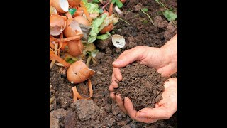 Organic Waste and Landfill Diversion