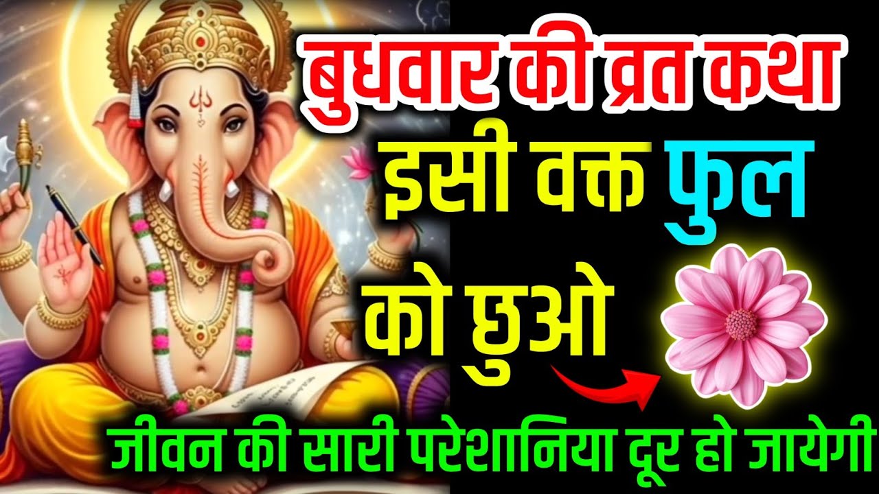 बुधवार की व्रत कथा इसी वक्त फुल को छुओ जीवन की सारी परेशानिया दूर हो जायेगी || Budhwar Vrat Katha | 